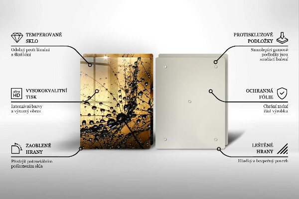 Protector pared cocina Rocío y dientes de león