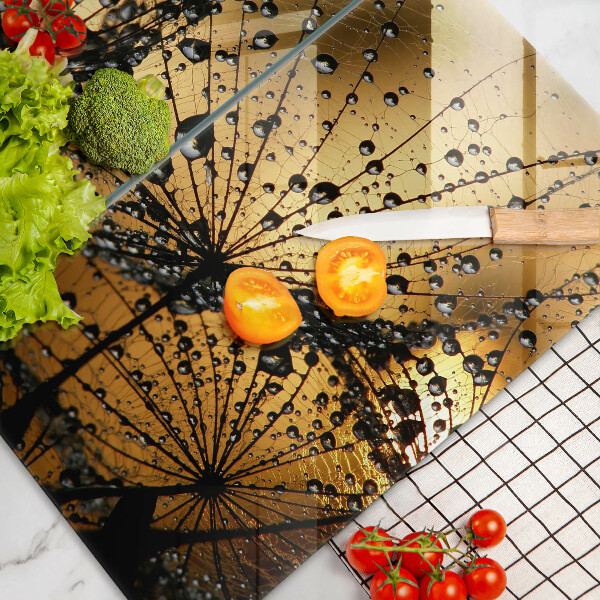 Protector pared cocina Rocío y dientes de león