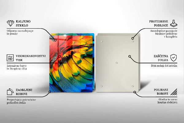 Protector pared cocina Plumas de loro de colores