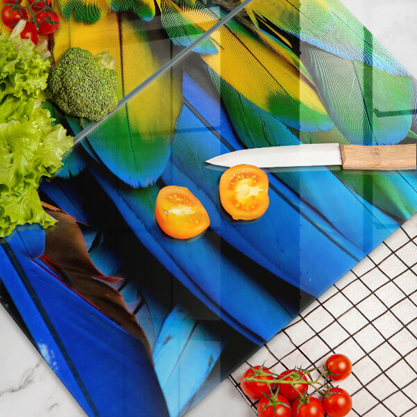 Protector pared cocina Plumas de loro de colores