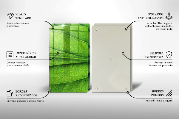 Protector pared cocina Hoja de vena natural