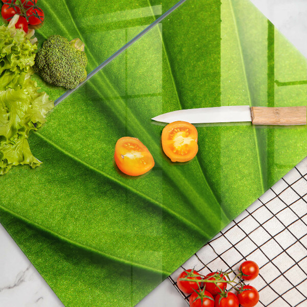 Protector pared cocina Hoja de vena natural