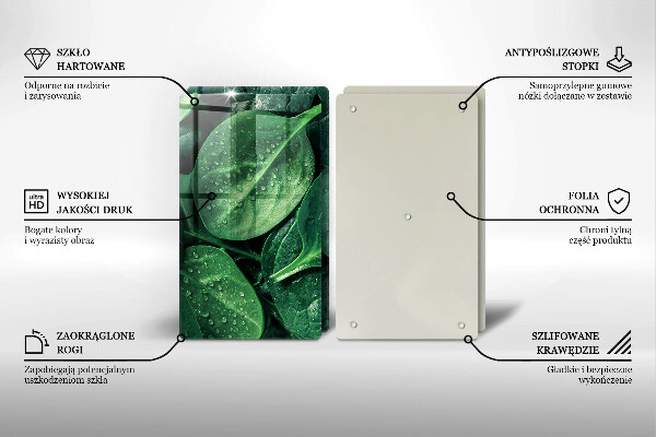 Protector pared cocina Hojas de albahaca