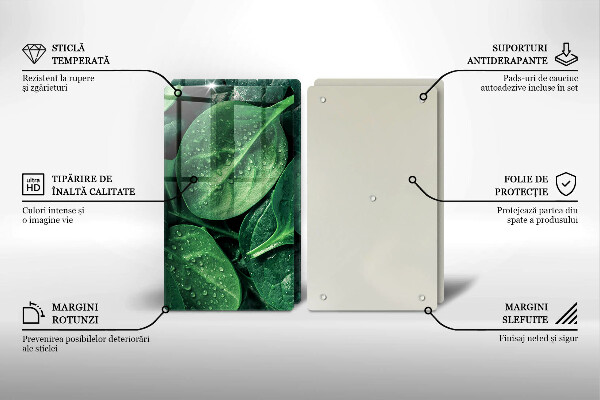 Protector pared cocina Hojas de albahaca