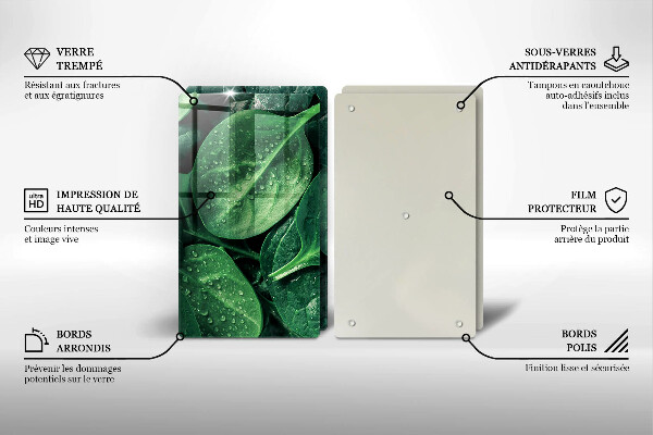 Protector pared cocina Hojas de albahaca