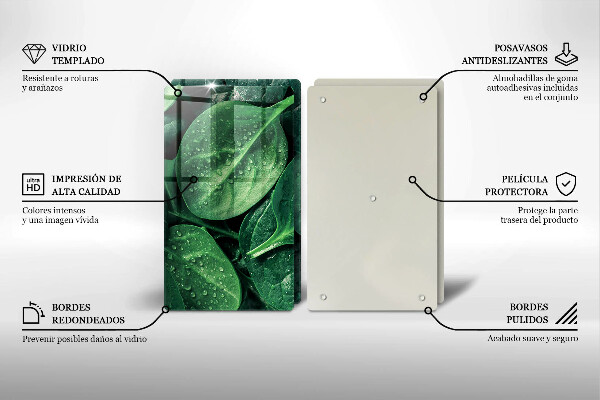 Protector pared cocina Hojas de albahaca