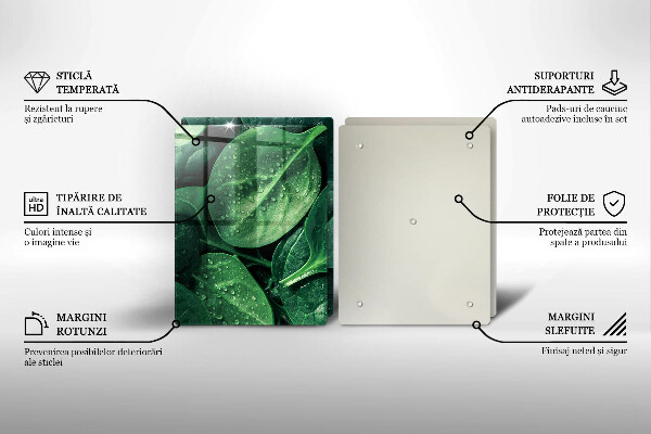 Protector pared cocina Hojas de albahaca