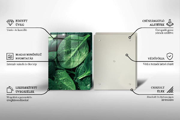 Protector pared cocina Hojas de albahaca