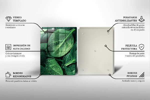 Protector pared cocina Hojas de albahaca