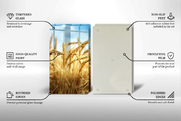 Protector pared cocina Espigas de cereales en el campo.