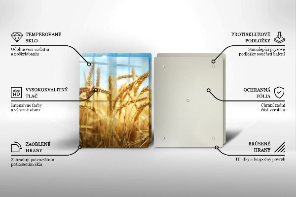 Protector pared cocina Espigas de cereales en el campo.