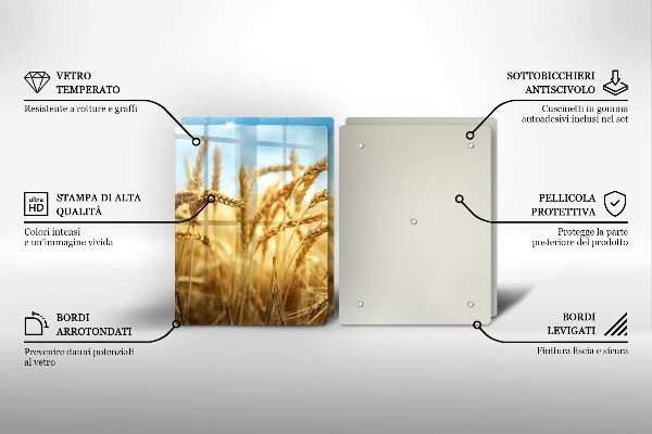 Protector pared cocina Espigas de cereales en el campo.