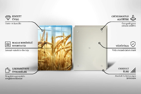 Protector pared cocina Espigas de cereales en el campo.