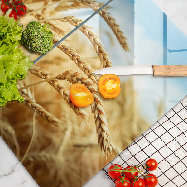 Protector pared cocina Espigas de cereales en el campo.