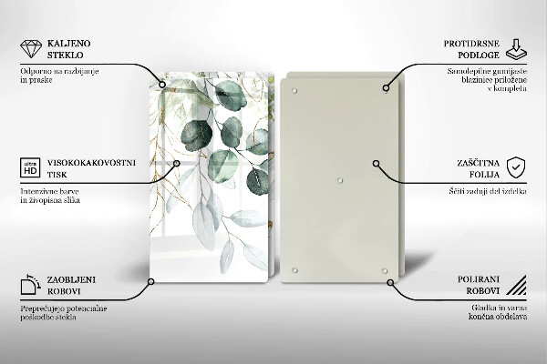 Protector pared cocina Plantas pintadas