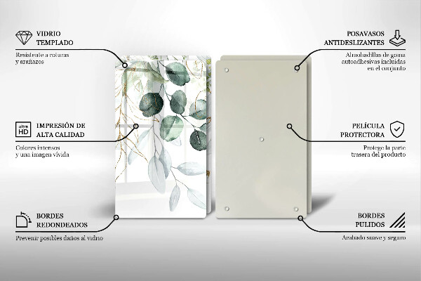 Protector pared cocina Plantas pintadas