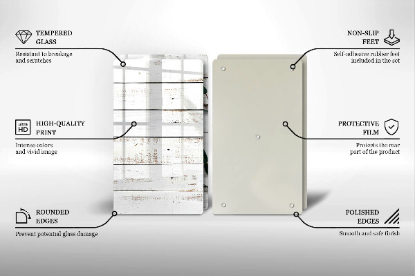 Protector pared cocina Tablas y hojas viejas