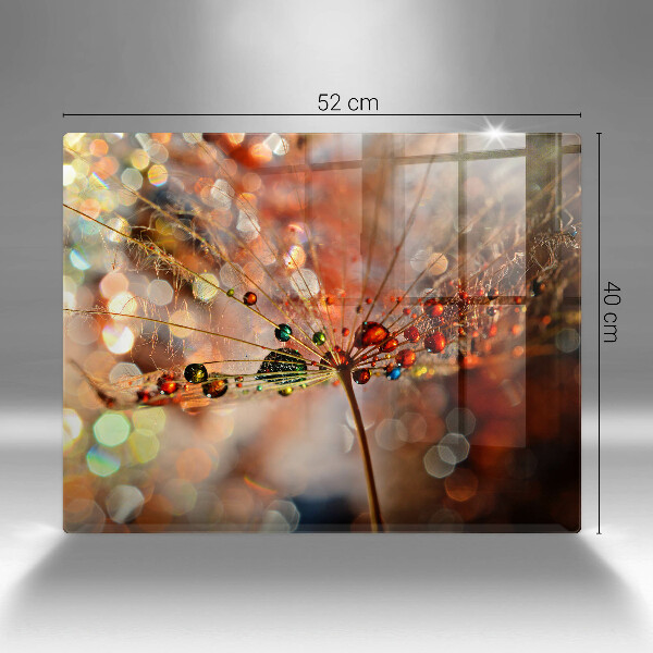 Cubre vitrocerámica diente de león mojado