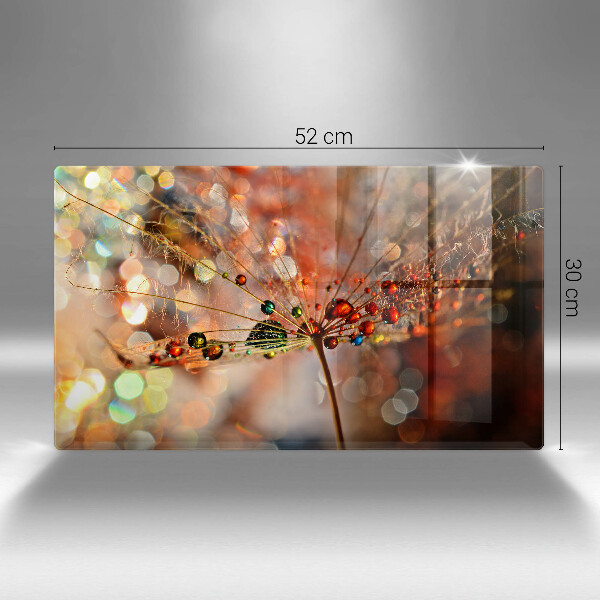 Cubre vitrocerámica diente de león mojado