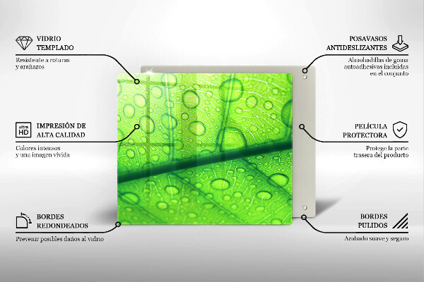 Protector encimera Primer plano de una hoja