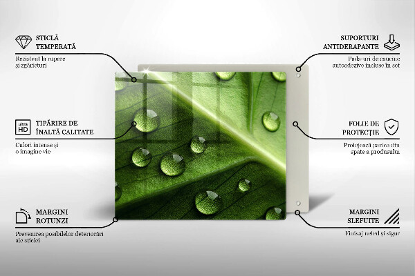 Protector encimera Hoja y rocío de la naturaleza