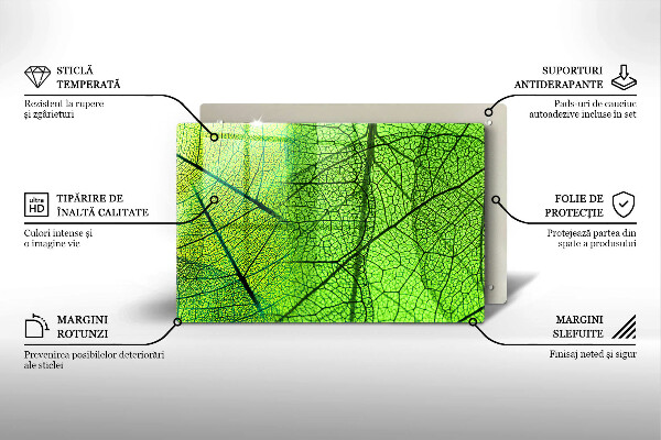Cubre vitrocerámica Venas de las hojas naturales