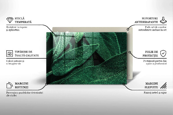 Cubre vitrocerámica Las hojas de la planta