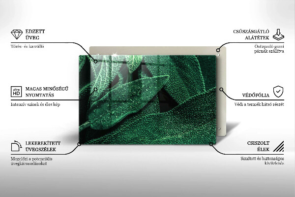 Cubre vitrocerámica Las hojas de la planta