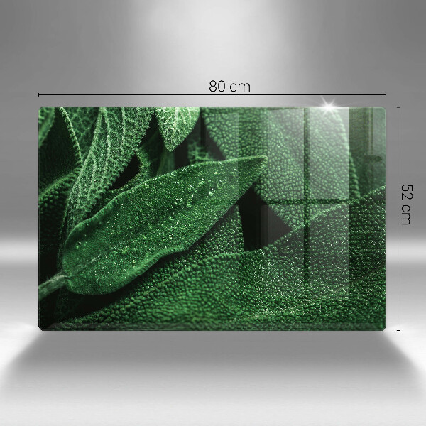 Cubre vitrocerámica Las hojas de la planta