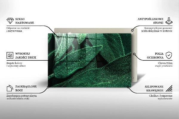 Cubre vitrocerámica Las hojas de la planta