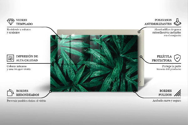 Cubre vitrocerámica Hojas de plantas