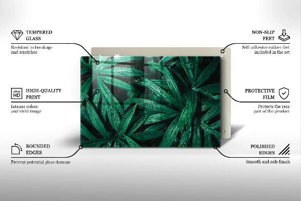 Cubre vitrocerámica Hojas de plantas