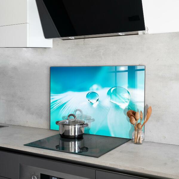 Paneles de vidrio para la cocina Rocío sobre una pluma delicada