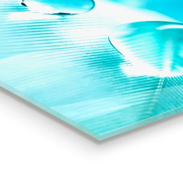 Paneles de vidrio para la cocina Rocío sobre una pluma delicada