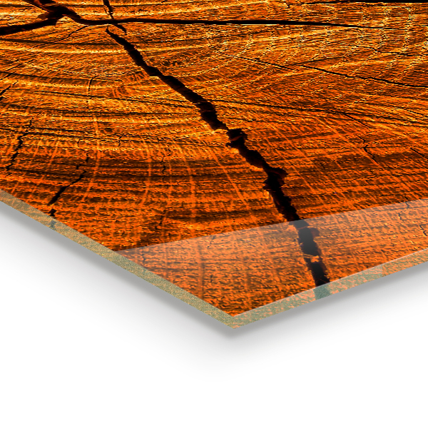 Paneles de vidrio para la cocina Estructura del tronco