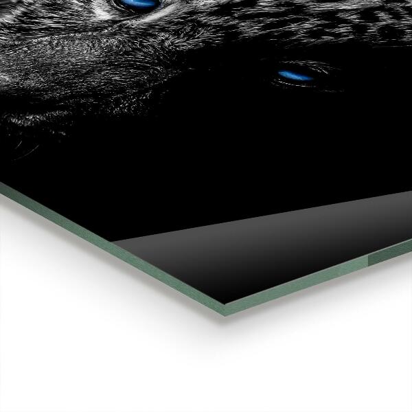 Paneles de pared Gato salvaje pantera oscura