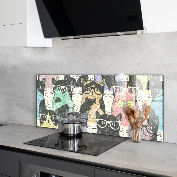 Paneles de pared Ilustración divertida del inconformista del gato