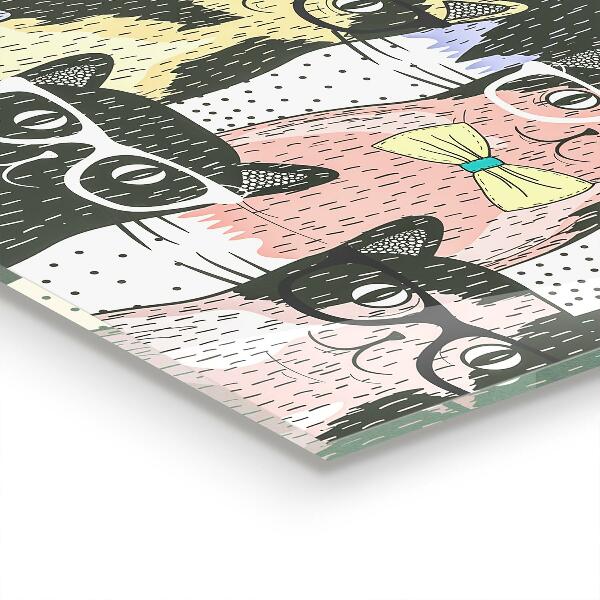 Paneles de pared Ilustración divertida del inconformista del gato