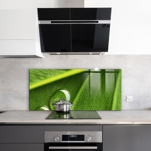 Paneles de pared Gota de rocío sobre una hoja