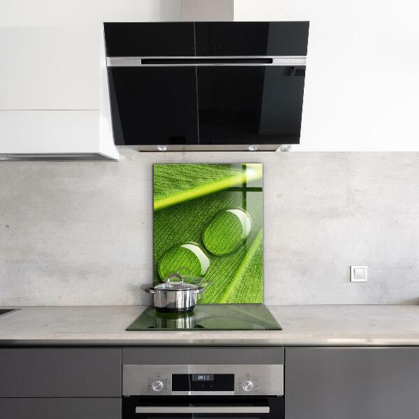 Paneles de pared Gota de rocío sobre una hoja