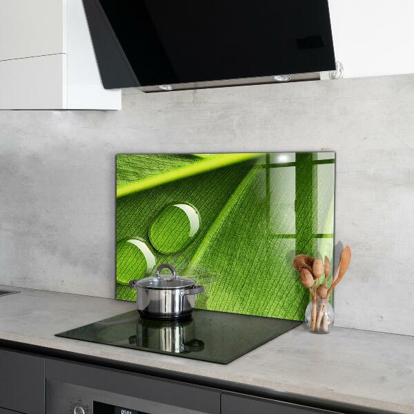 Paneles de pared Gota de rocío sobre una hoja