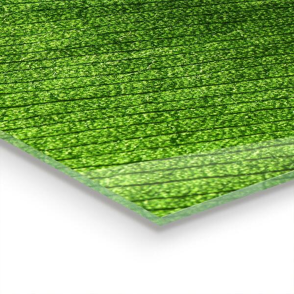 Paneles de pared Gota de rocío sobre una hoja