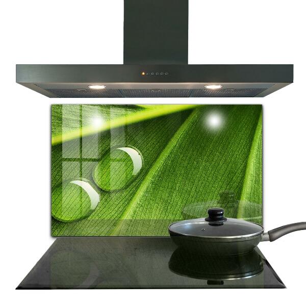 Paneles de pared Gota de rocío sobre una hoja