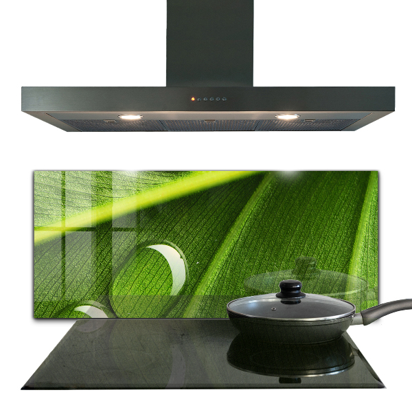 Paneles de pared Gota de rocío sobre una hoja