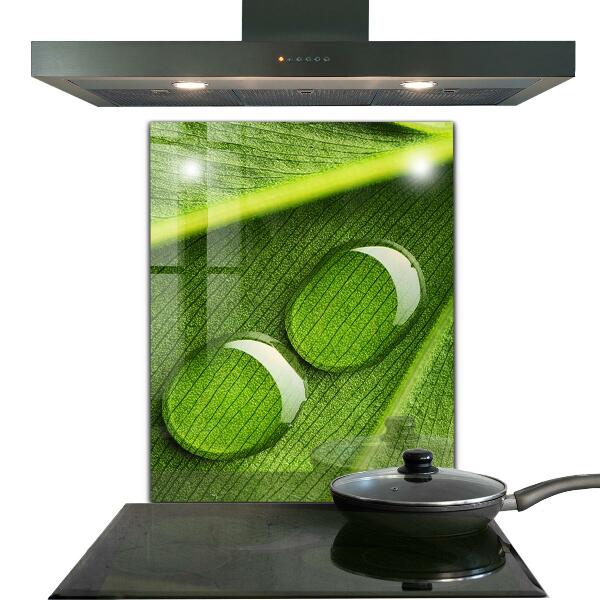 Paneles de pared Gota de rocío sobre una hoja