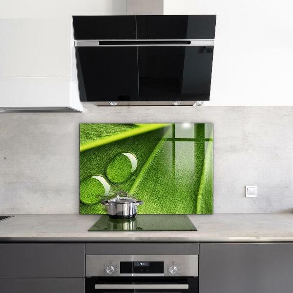 Paneles de pared Gota de rocío sobre una hoja