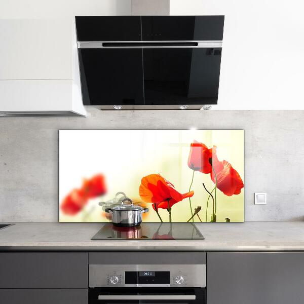 Paneles de pared Prado de campo con amapolas rojas