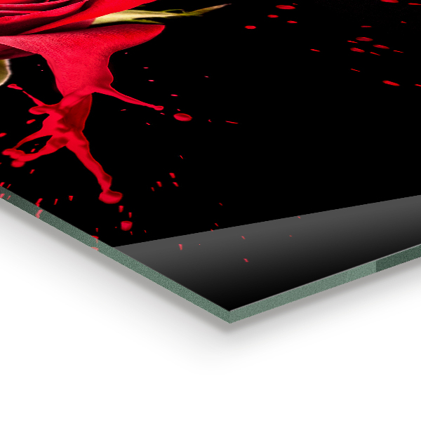 Paneles de pared Resumen de rosa roja