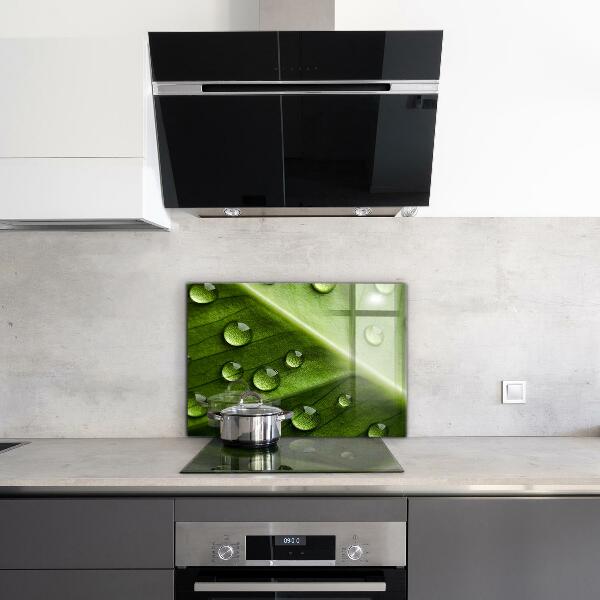 Paneles de pared Hoja con gotas de rocío de la mañana