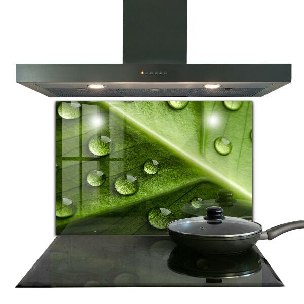 Paneles de pared Hoja con gotas de rocío de la mañana